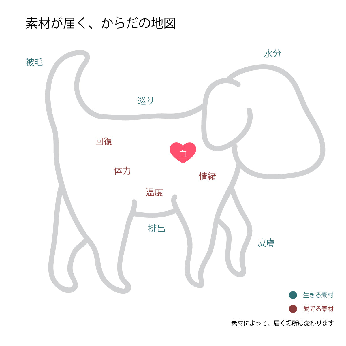 犬と生きる定期便「生きる」