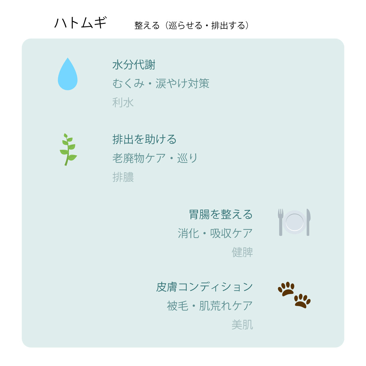 犬と生きる定期便「生きる」