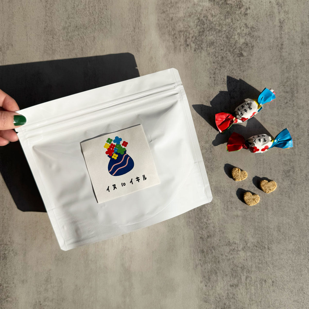 犬と生きる定期便「生きる」