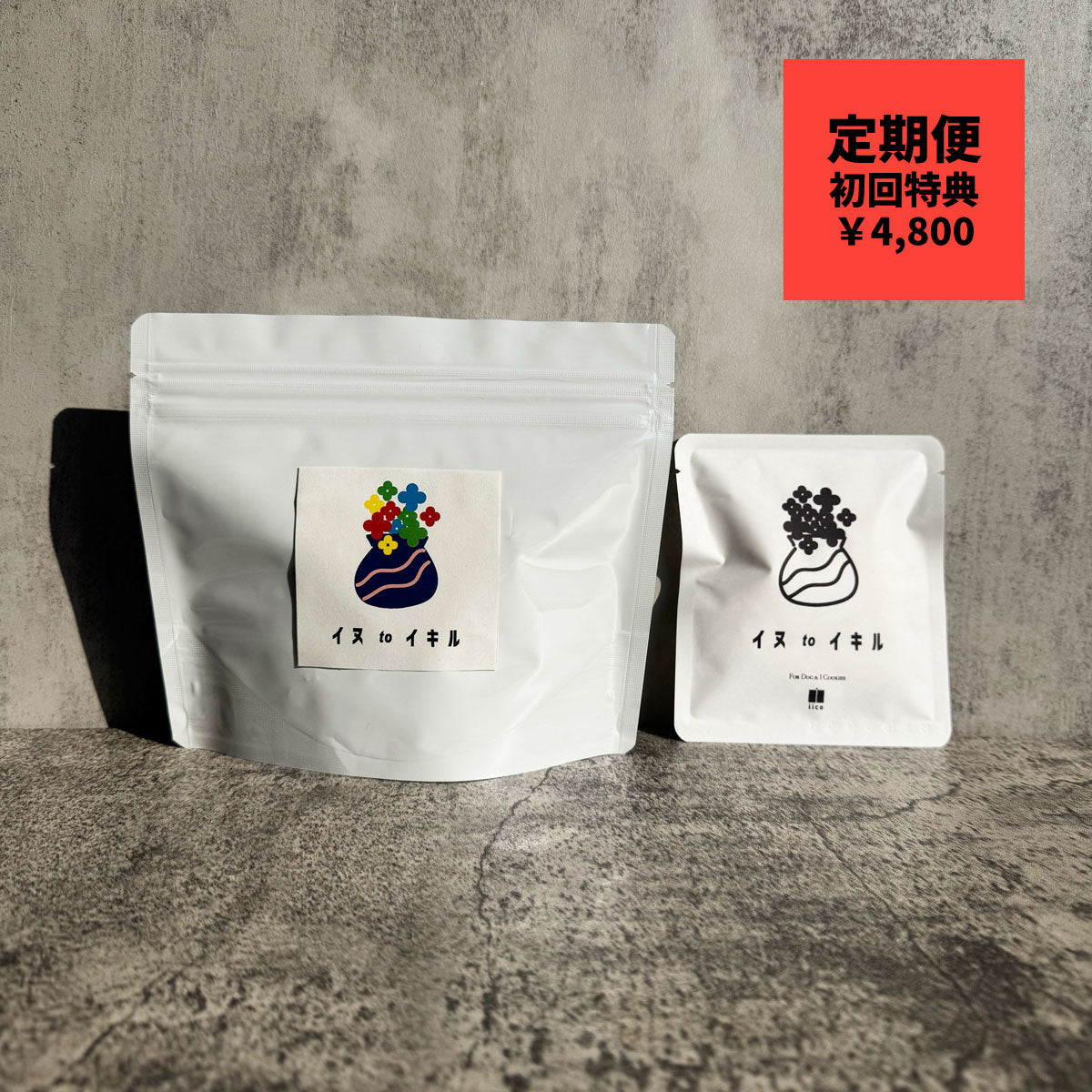 犬と生きる定期便「生きる」