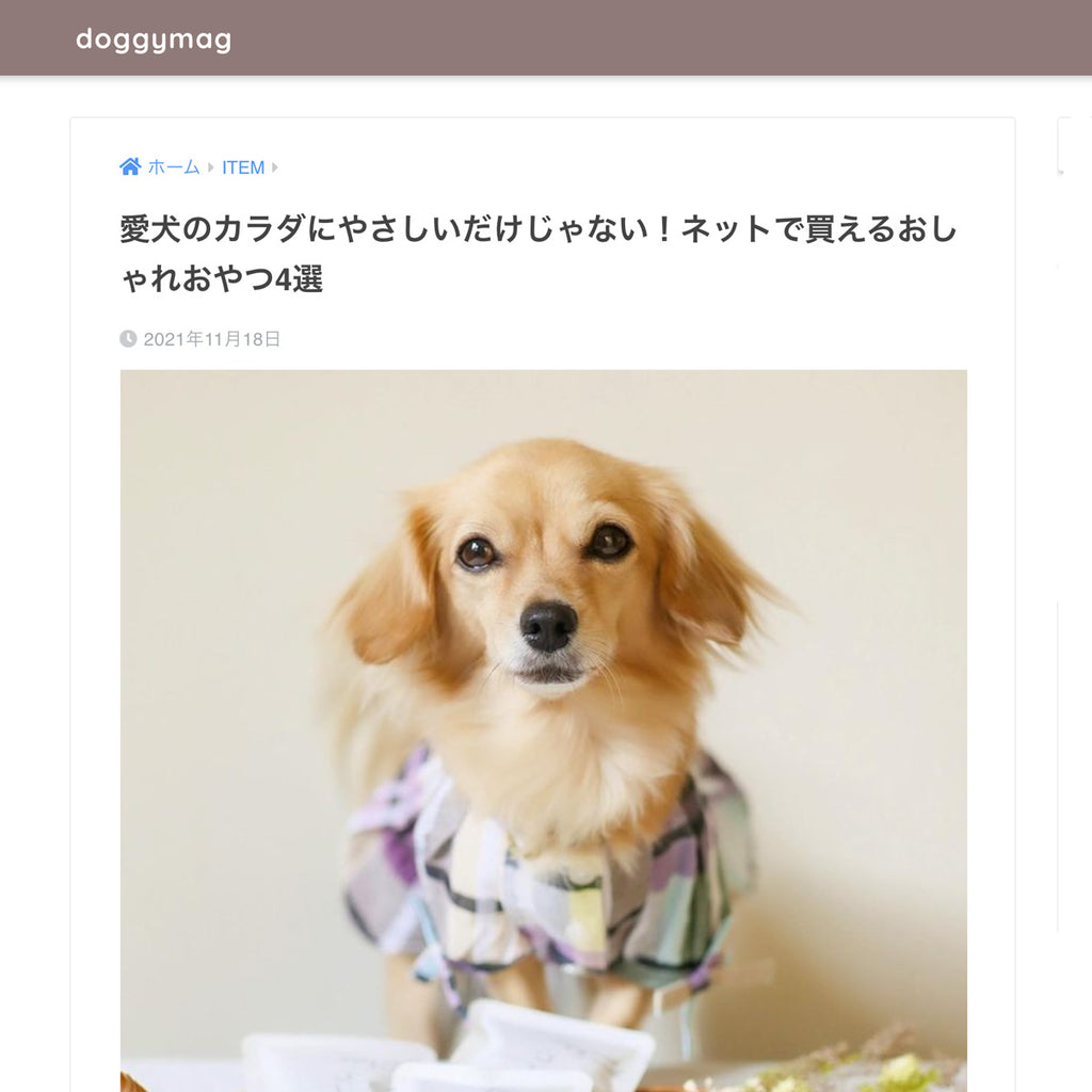 【メディア掲載情報】doggymag